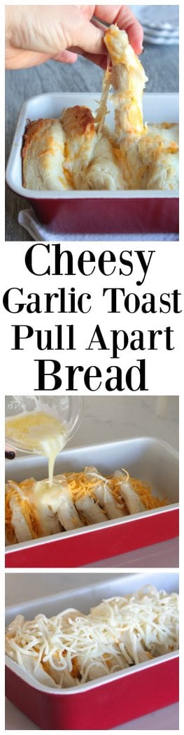 Cheesy Garlic Toast Pull Apart Bread "width =" 263 "height =" 1050 "srcset =" https://picky-palate.com/wp-content/uploads/2016/10/1-Cheesy-Garlic-Toast-Pull- Apart-Bread-263x1050.jpg 263w, https://picky-palate.com/wp-content/uploads/2016/10/1-Cheesy-Garlic-Toast-Pull-Apart-Bread-169x675.jpg 169w "tamaños = "(max-width: 263px) 100vw, 263px" data-jpibfi-post-excerpt = "" data-jpibfi-post-url = "https://picky-palate.com/cheesy-garlic-toast-pull-apart -bread / "data-jpibfi-post-title =" Cheesy Garlic Toast Pull Apart Bread "data-jpibfi-src =" https://picky-palate.com/wp-content/uploads/2016/10/1-Cheesy -Gran-Toast-Pull-Apart-Bread-263x1050.jpg "/></p>
<h3 id=