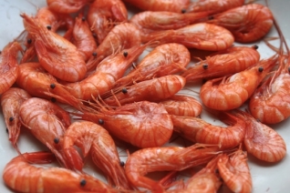 11 recetas navideñas españolas para una fiesta tradicional.
