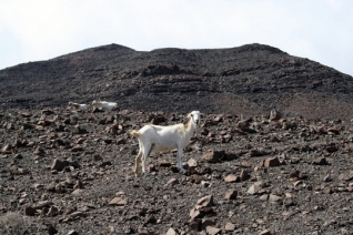 48 Horas en Fuerteventura