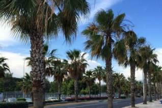 5 maneras de mantenerte fresco en Málaga cuando sube la temperatura del verano