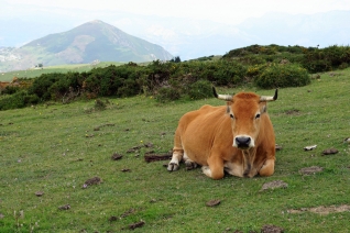 6 Vistas espectaculares en Asturias.