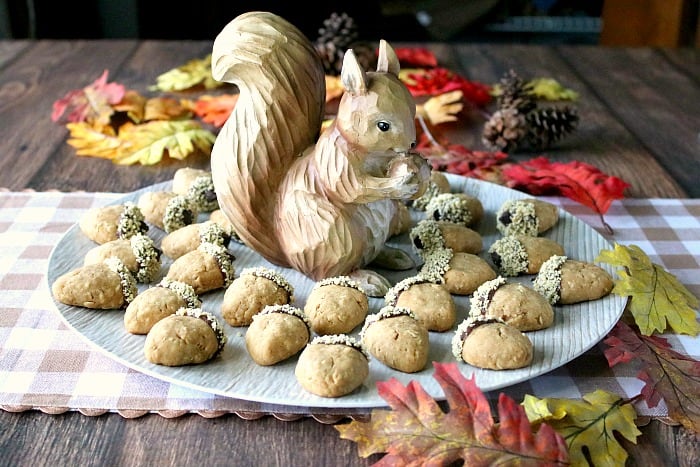 Round platter of acorn cookies surrounding a cute squirrel