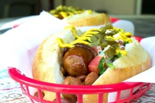 Perros sonorenses