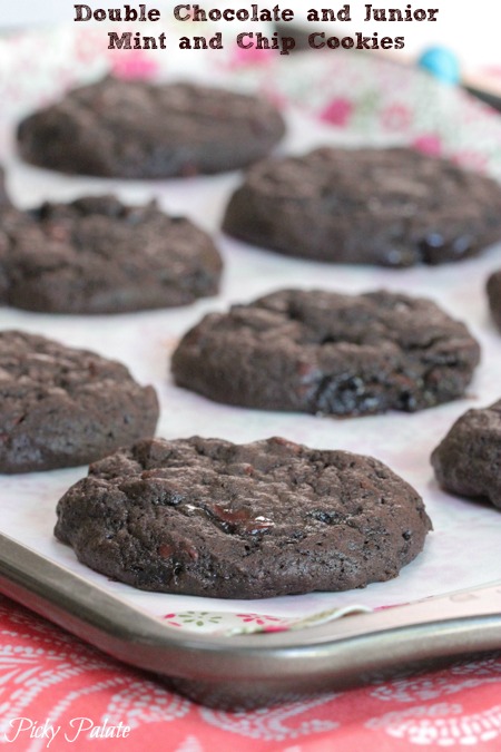 Galletas de menta junior de chocolate doble