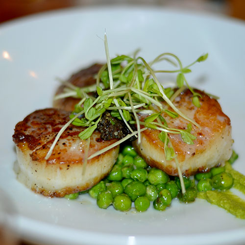 Scallops, fish, seafood, entree