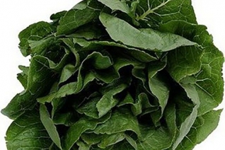 Going Green & # 8230; Deliciosamente: Top 10 Verdes Frondosos