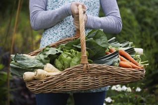 Los hallazgos de los puestos de la granja de julio y sus recetas favoritas también