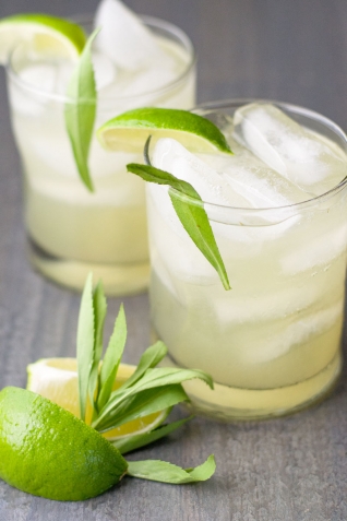 Limonada Con Estragón