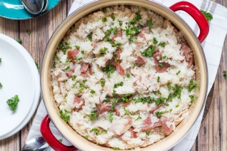 Pantano de pollo