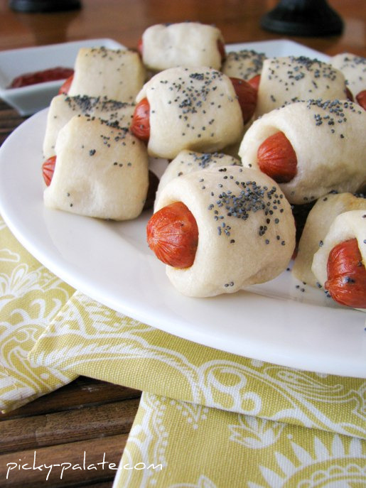 Porcelets sur une couverture -