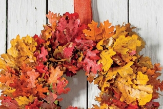 Preservando la cosecha con Easy Fall DIY Projects