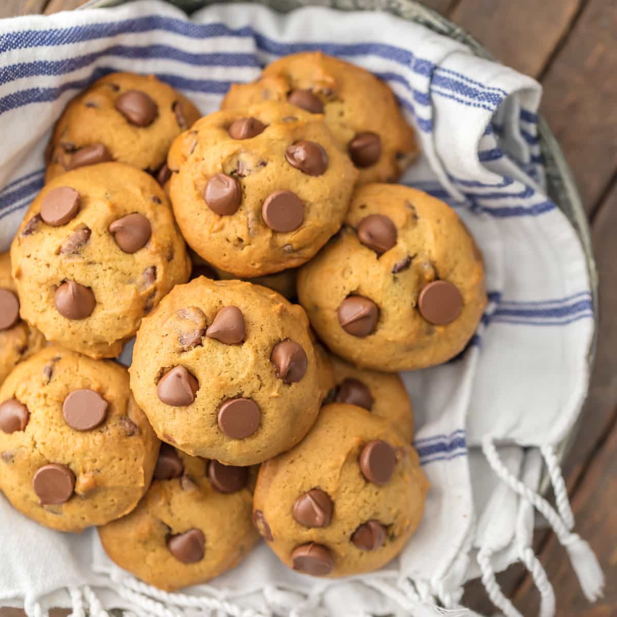 The Cookie Rookie