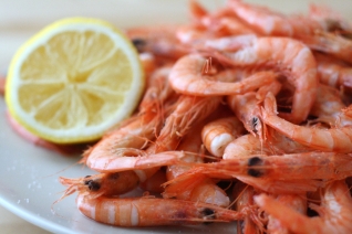 Receta de Camarones Cocidos Perfectos (Gambas Cocidas)