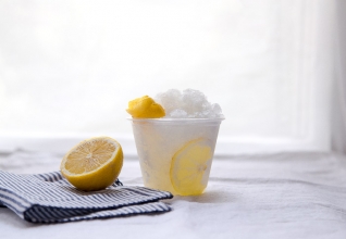 Vodka Tonic Slush