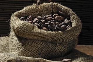 Todo sobre el chocolat