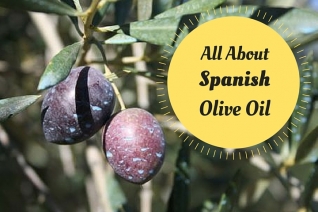 Todo sobre el aceite de oliva español