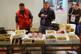 Visitar Mercamadrid: El segundo mercado de pescado más grande del mundo