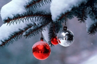 Vota ahora en las mejores películas de Navidad & # 8230; Ever Poll