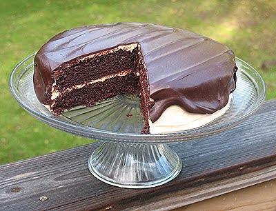 Gâteau au chocolat avec glaçage au beurre d'arachide et garniture au beurre d'arachide au chocolat