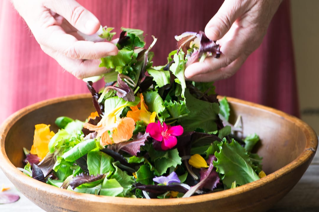 Ensalada de primavera con flores comestibles