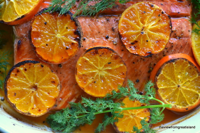 odka y Clementine Glazed Salmon 3
