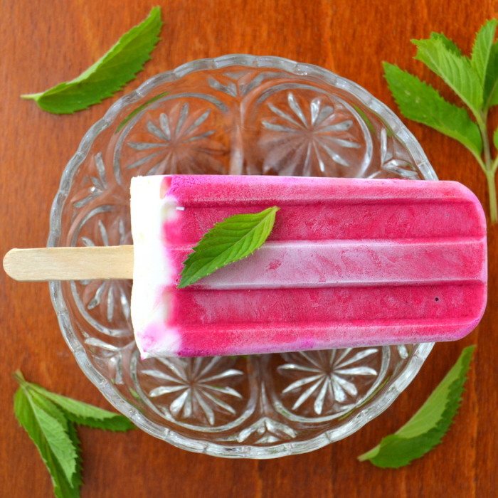 Paleta de sopa de remolacha fr&iacute;a en un plato