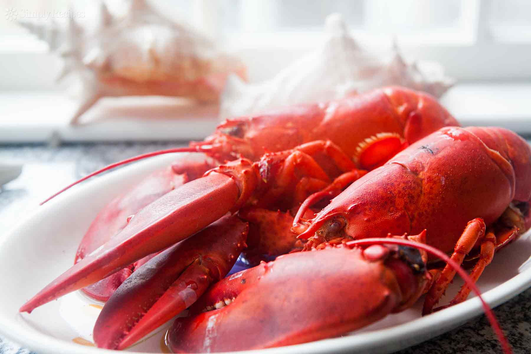 How to Boil and Eat Lobster
