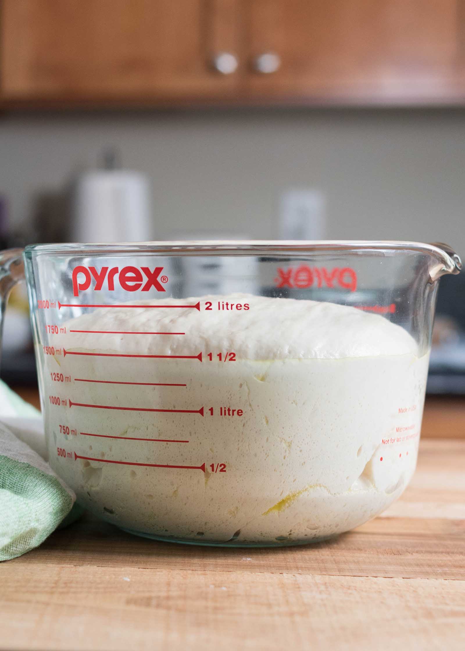 No-Knead Pizza Dough