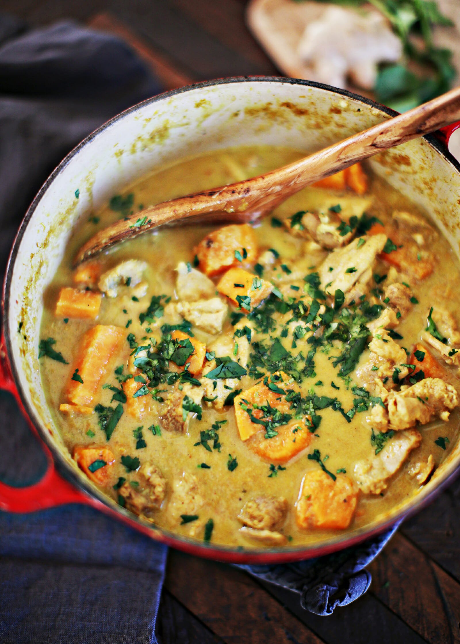 Chicken Curry garnish with cilantro