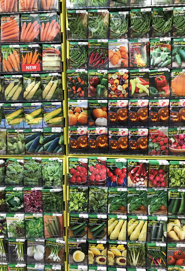 5 modi per preparare il tuo giardino per la primavera | 31Daily.com