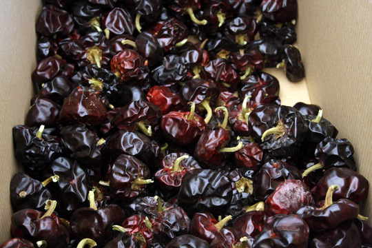 Peperoni Ñora, paprika murciana