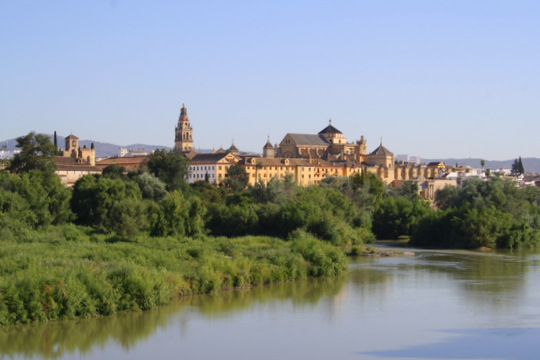 Cordova Visitare Cordoba in estate