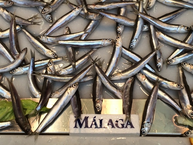 È un tipico pesce piccolo, le acciughe, come si vede nel Mercado de Atarazanas, uno dei migliori mercati di Malaga.