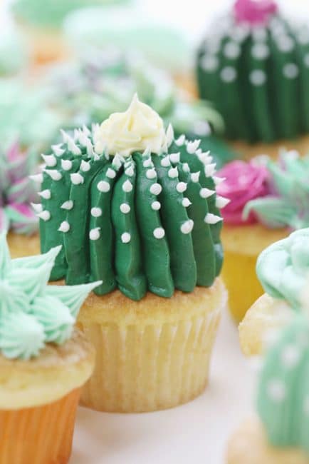 Come fare un cactus a botte con crema di burro!