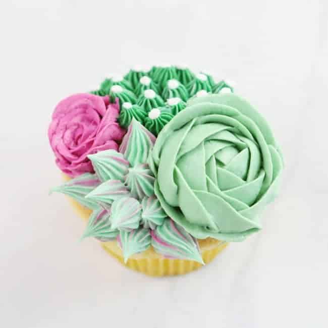 {VIDEO} su come rendere divertenti i cupcakes succulenti!