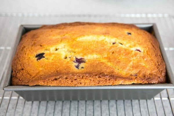 Cuocere la torta di libbra di ricotta ai mirtilli al limone