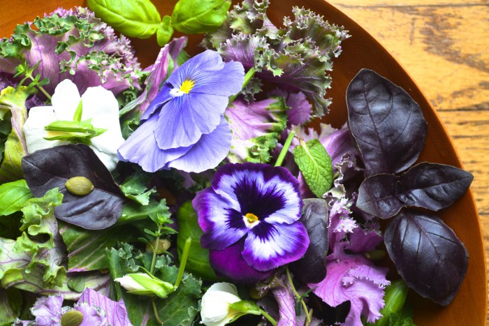 Insalata con cavolo ed erbe primaverili con fiori commestibili