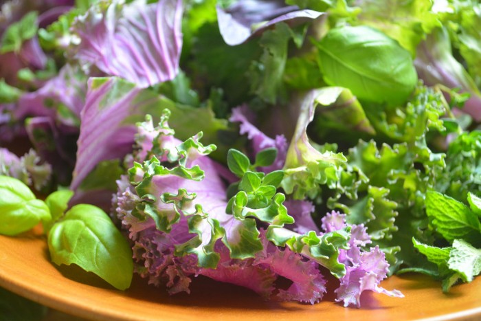 insalata di cavolo