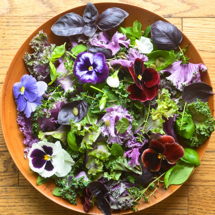 insalata di cavoli e erbe con viole del pensiero