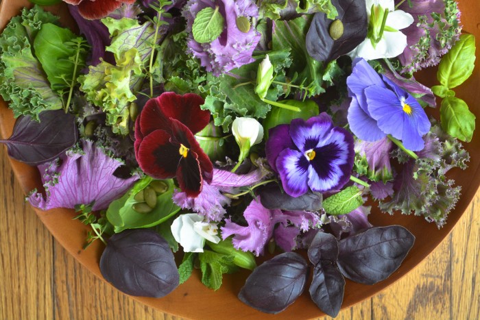 insalata di cavoli e erbe con fiori commestibili