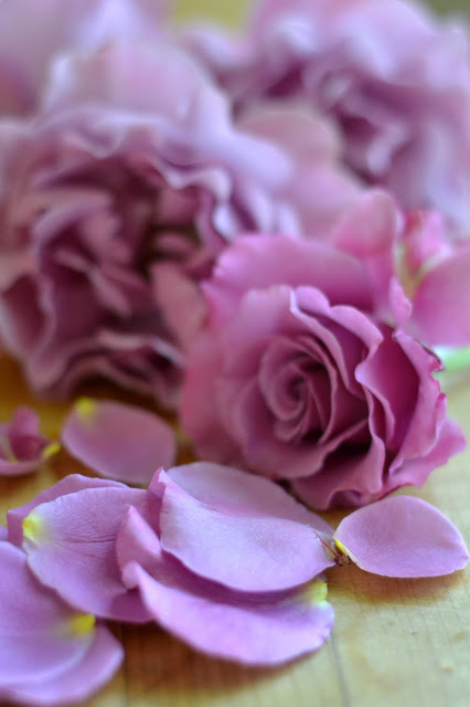 rose fresche per fare lo sciroppo di rose semplice