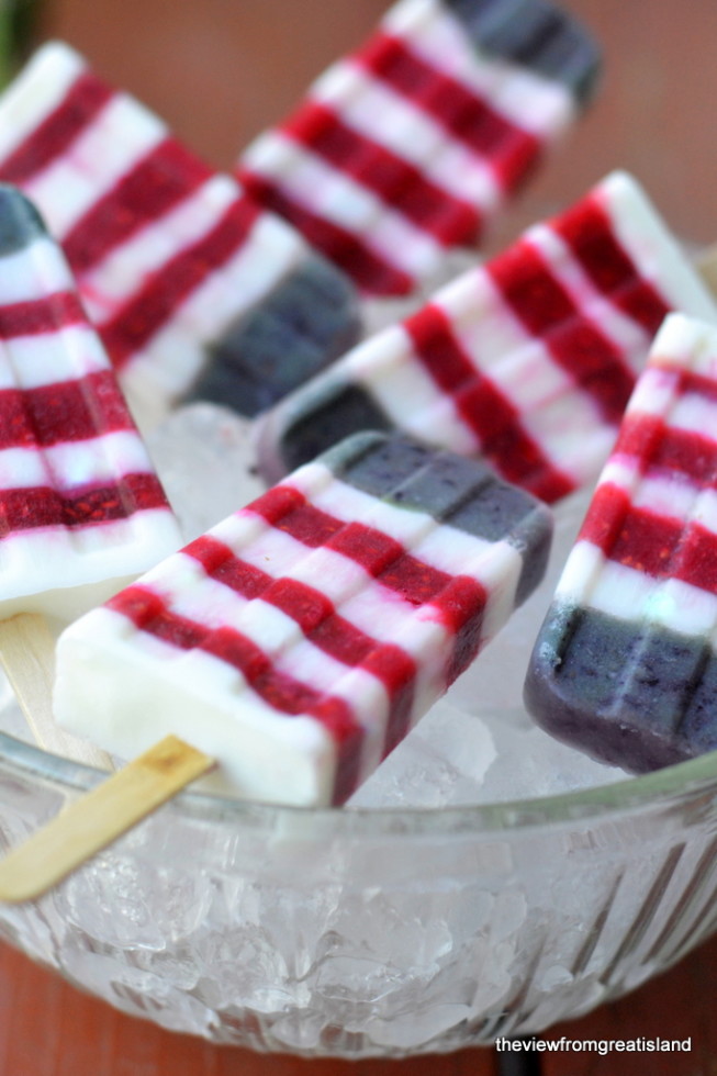 Ghiaccioli allo yogurt bianco-mirtillo