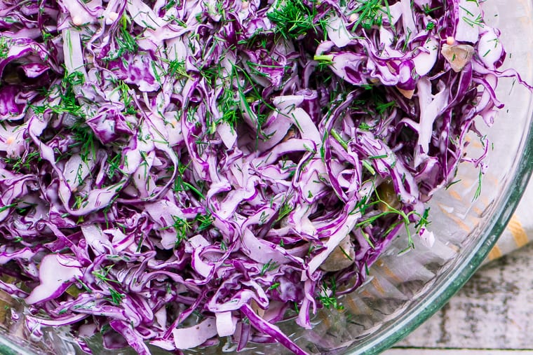 Insalata variopinta dell'aneto e del cavolo rosso