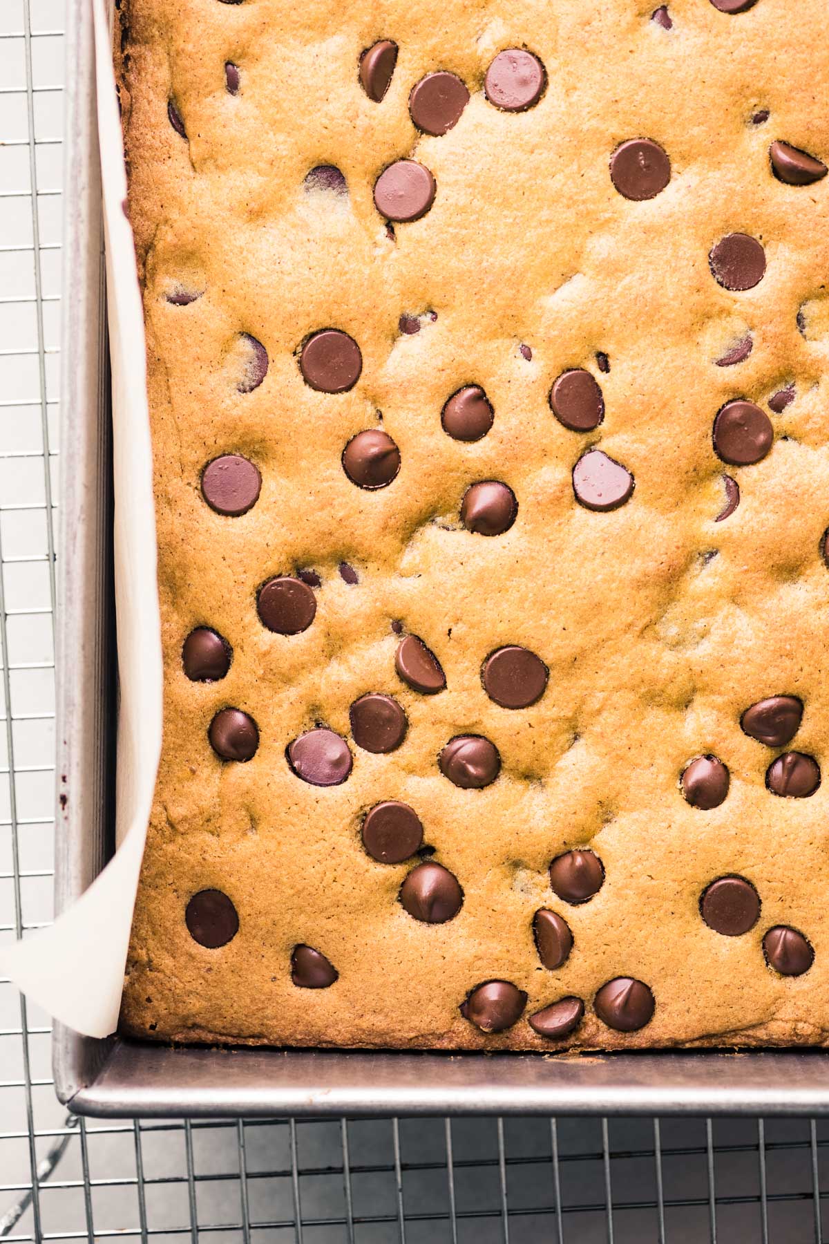 Blondie di zucca con scaglie di cioccolato in una padella direttamente dal forno