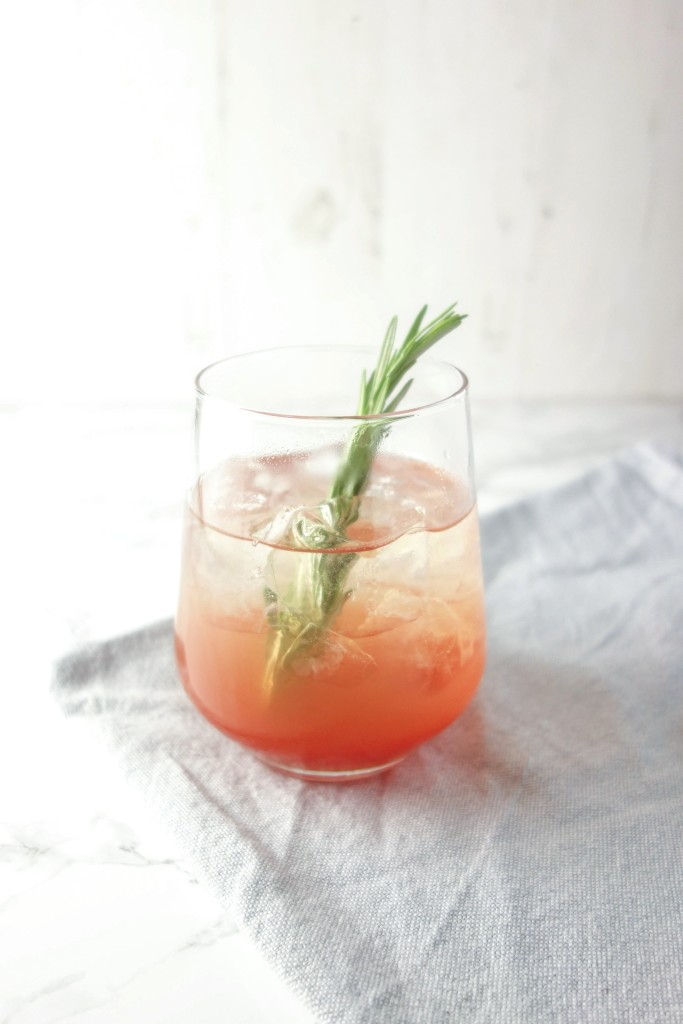refrigeratore di gin al sambuco rabarbaro