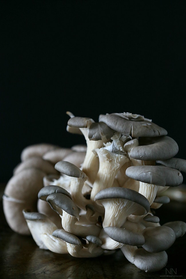 Questa zuppa tailandese di tom kha gai è una bella combinazione di pollo, funghi, zenzero, citronella e latte di cocco. Top con sriracha, coriandolo e solo un po 'di limone. Questa zuppa tailandese di tom kha gai è una bella combinazione di pollo, funghi, zenzero, citronella e latte di cocco. Top con sriracha, coriandolo e solo un po 'di limone.