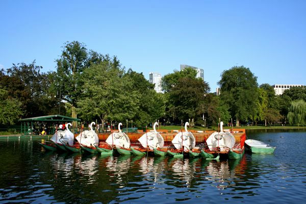 Boston Swan Boats