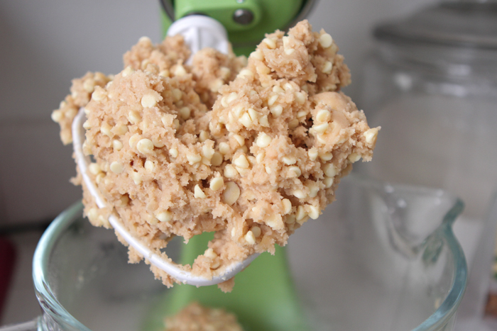 Crunchy Vanilla Macaroon Cookies-14