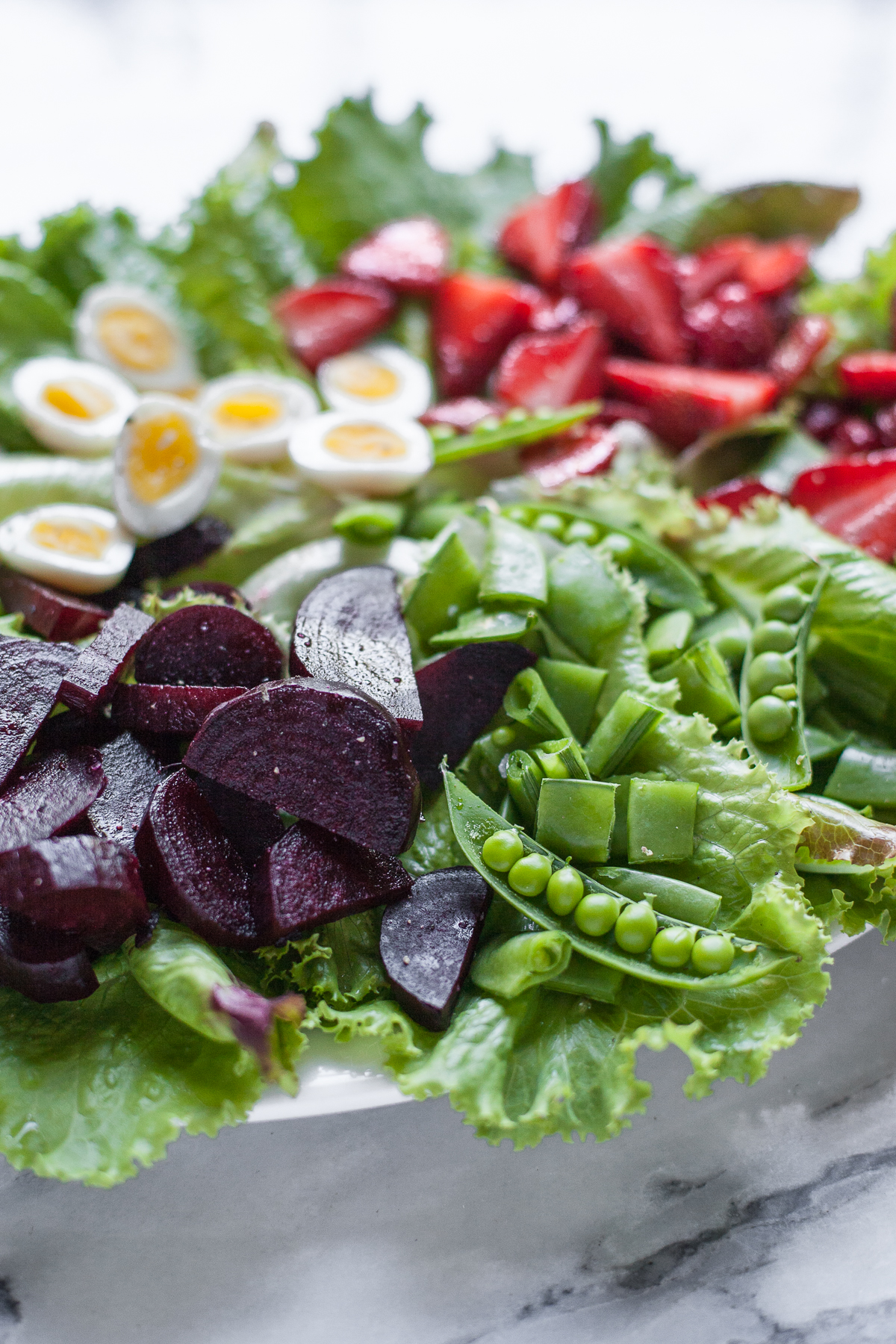 Insalata del mercato degli agricoltori di primavera