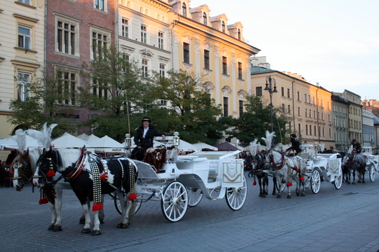 24 ore a Cracovia